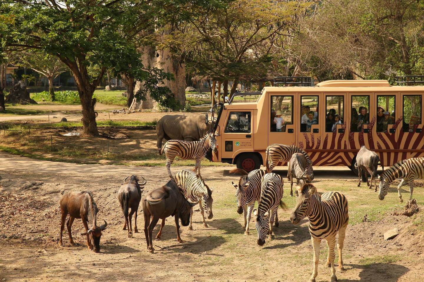 taman safari bali marine park