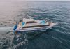 Harga Tiket Fast Boat Bali ke Nusa Penida Terbaru ray fish fast cruise
